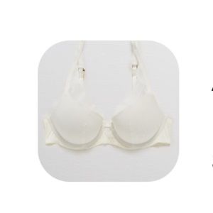 Aerie real power plunge push-up bra